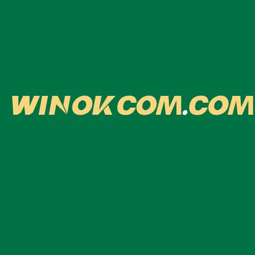 Logo da WINOKCOM